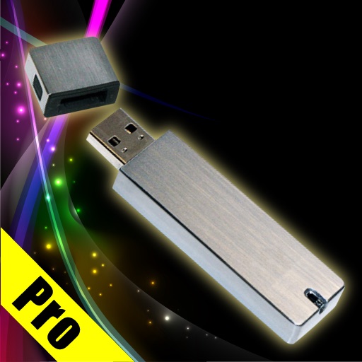 USB Flash Drive Pro