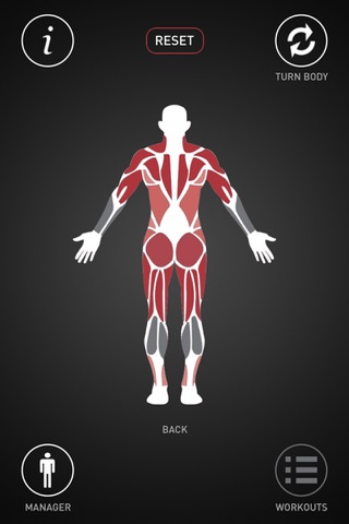 Muscle Manager Pro : Gym Workouts screenshot 2