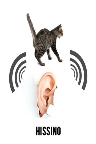 Tinnitus Ringing In The Ear screenshot 4