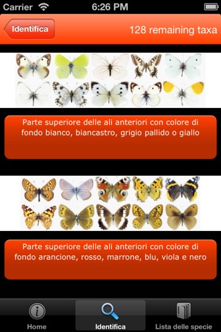 Guida alle farfalle del Parco Nazionale delle Foreste Casentinesi, Monte Falterona e Campigna screenshot 4