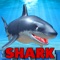 Shark Tank - 3D