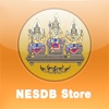 NESDB-Store