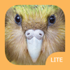 Birds of New Zealand LITE - mydigitalearth.com