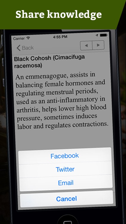 Herbs Glossary screenshot-3