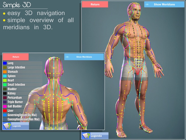 Easy Acupuncture 3D screenshot-4