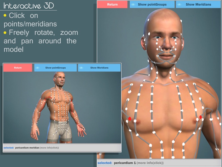 Easy Acupuncture 3D