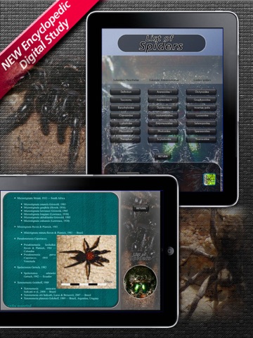 List of Spiders screenshot 3