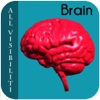 All Visibility Brain