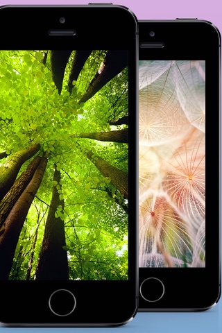 Nature Wallpapers & Themes screenshot 2