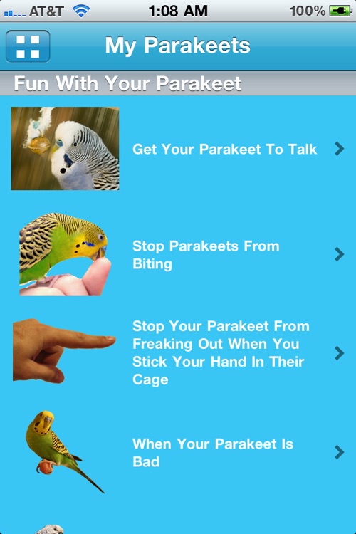 Parakeets