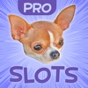 Slots of Joy PRO - Adorable Babies, Silly Puppies & Funny Cats Slot Machine Games