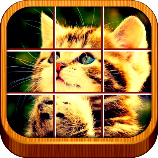 Crazy Puzzles icon