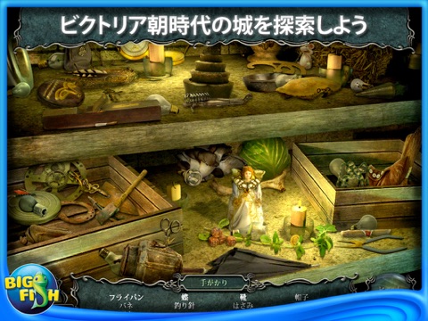 Mystic Diary: The Missing Pages HD - A Hidden Object Adventure screenshot 4