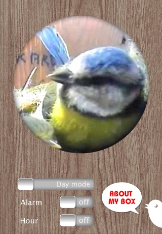 BirdBox screenshot 4