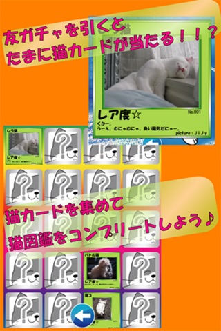 Chatにゃー screenshot 2