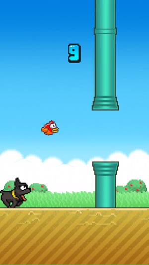 Splashy Bird & Angry Puppy(圖3)-速報App