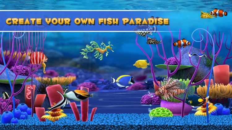 Fish Paradise