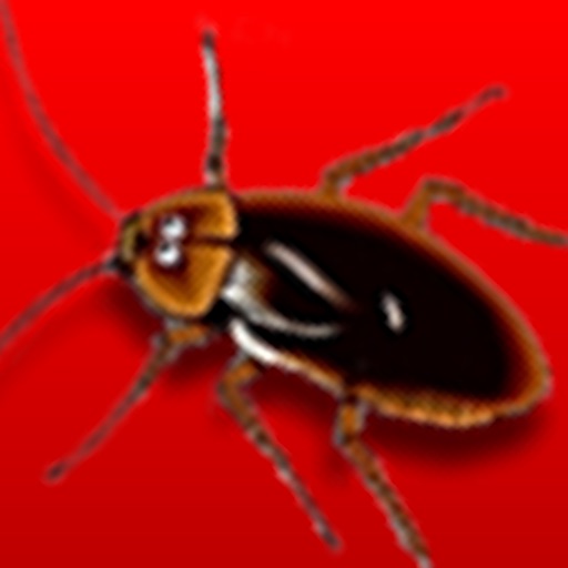 Bugs Run icon