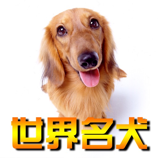 世界名犬大全