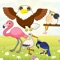 Flying Birds Match Games for Toddlers and Kids : discover the bird species !