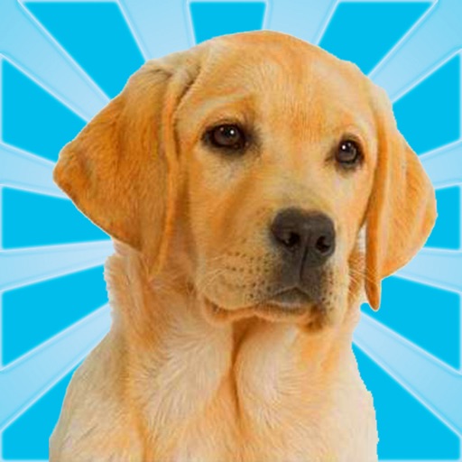 Pet Dog: My Best Friend iOS App