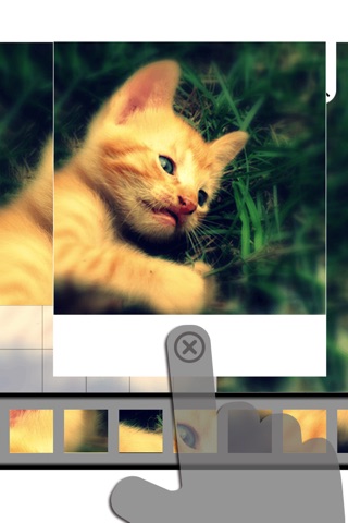 Cats Puzzle screenshot 3