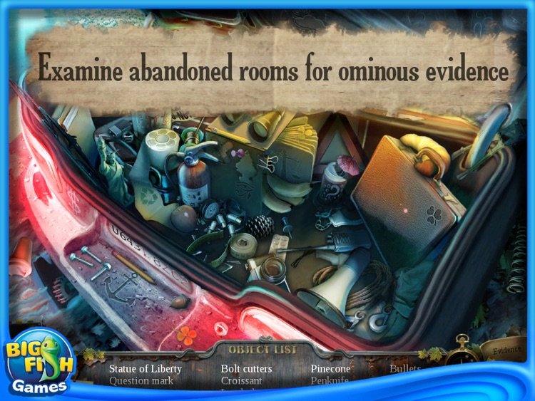 Enigmatis: The Ghosts of Maple Creek Collector's Edition HD screenshot-4