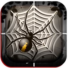 Activities of Spider Slider Mayhem Avenger Puzzle