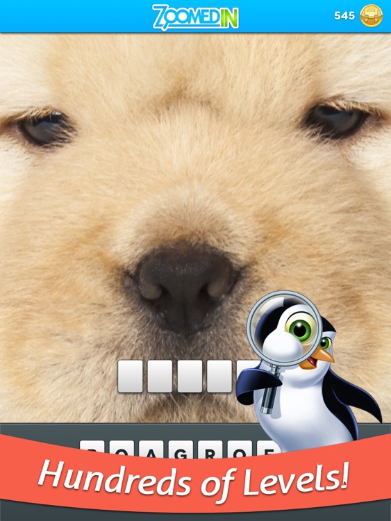 Zoomed In - Photo Game HD