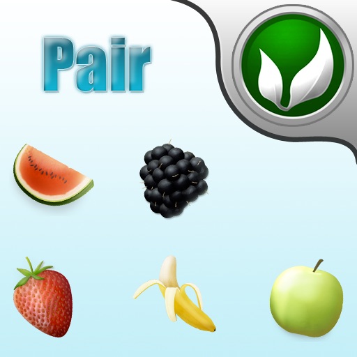 FruitPair Icon