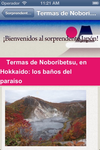 Sorprendente Japón screenshot 2