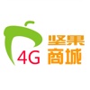 坚果4G商城