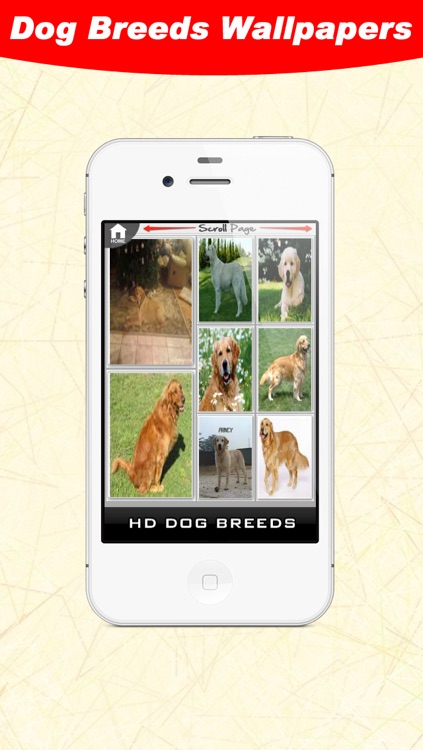 Dog Breeds WallPapers screenshot-3