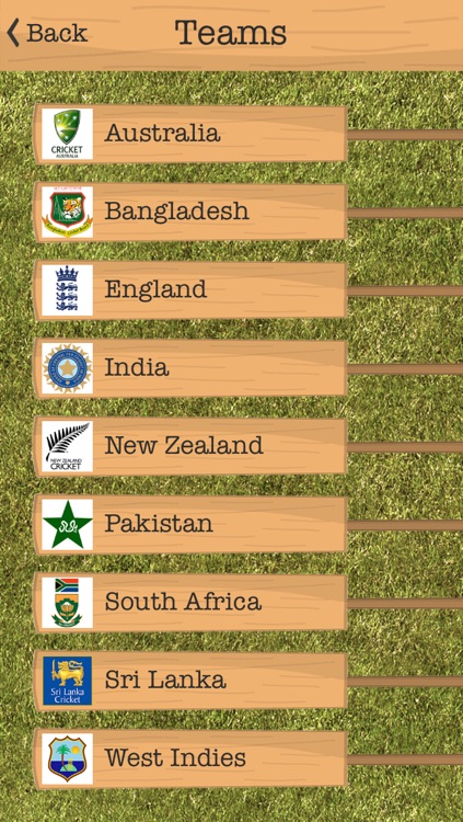 T20 Fever screenshot-3