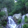 Rainforest Ambience Rainforest Ambience