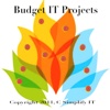 Budget IT Project