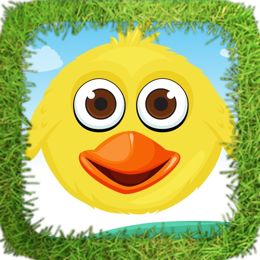 Huffy Birds Smasher iOS App