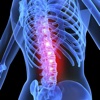 Back Pain - Learn Simple Exercises To Relieve Back Pain