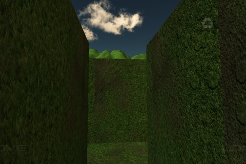 Mystic Maze screenshot 4
