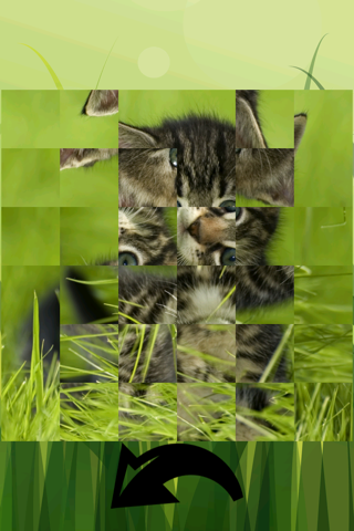 TurnPuzz - Kitty screenshot 2