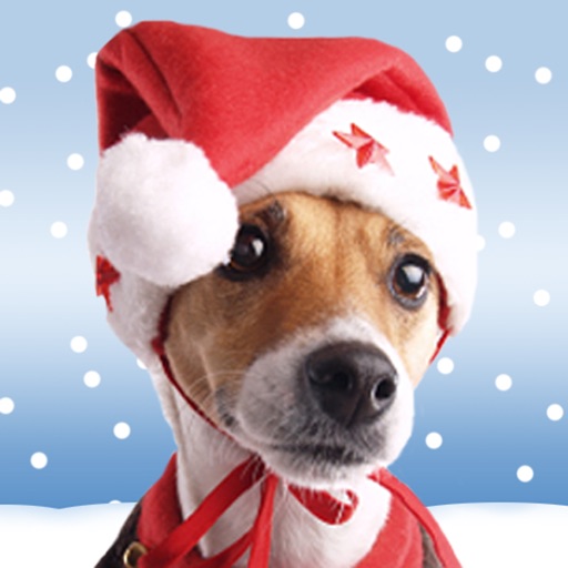 Christmas Pet Countdown - How many sleeps to Christmas? icon