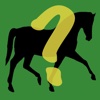 Horse Quiz