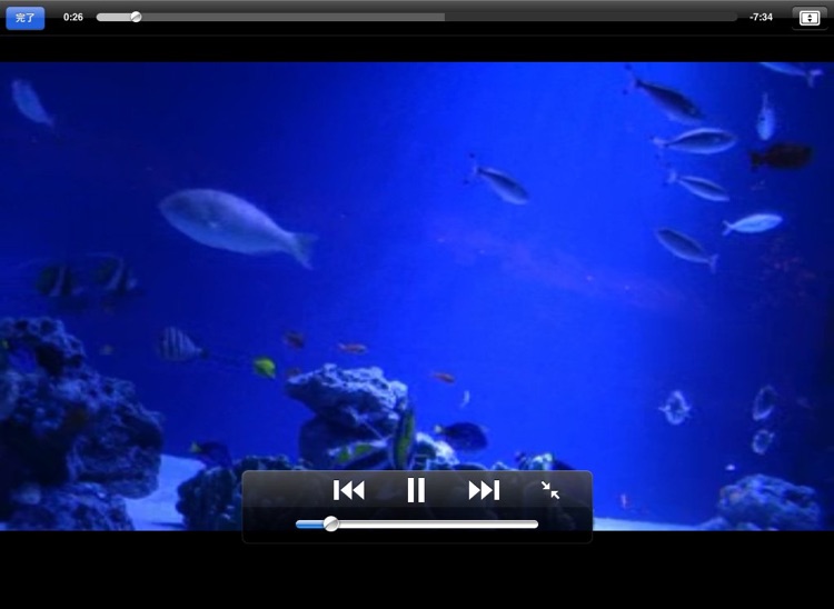 Media Link Player Lite for iPad