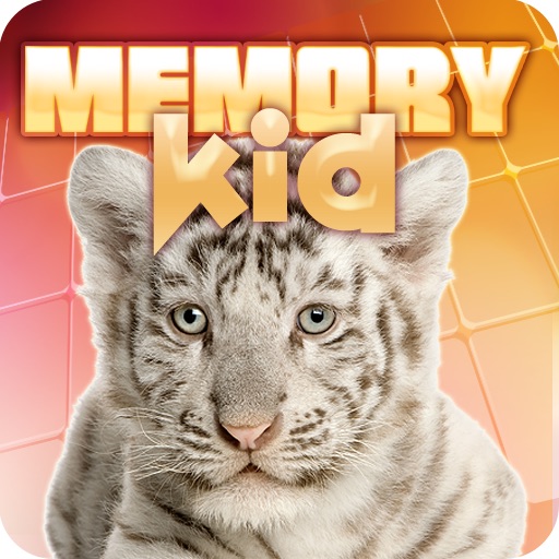 Memory Kid icon