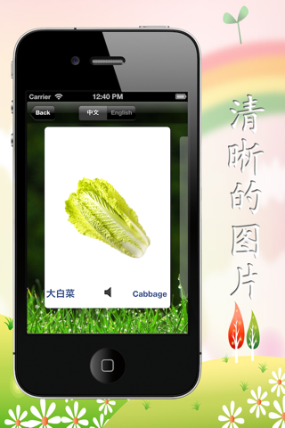 宝贝卡片系列（蔬菜篇） screenshot 2