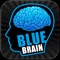 BlueBrain Lite