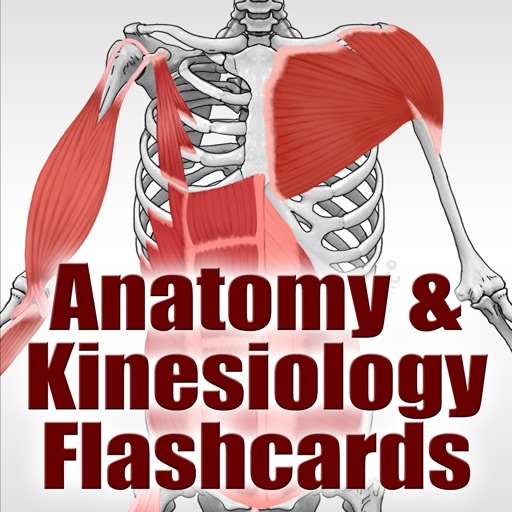3a. Muscles de la tete Flashcards