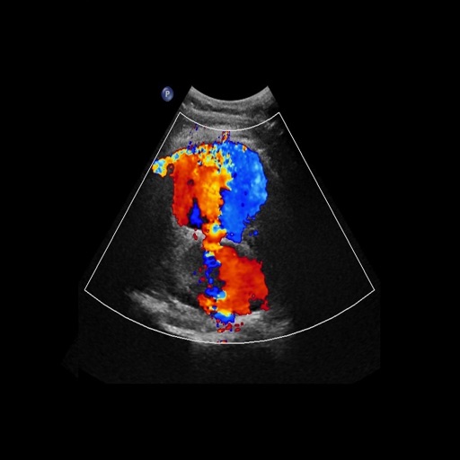 General Radiology 2