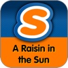 A Raisin in the Sun Learning Guide