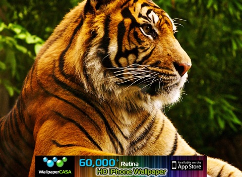 AnimalPix HD (iPad version) screenshot 4